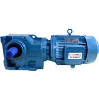 Motoredutor com Eixo Maciço Lateral